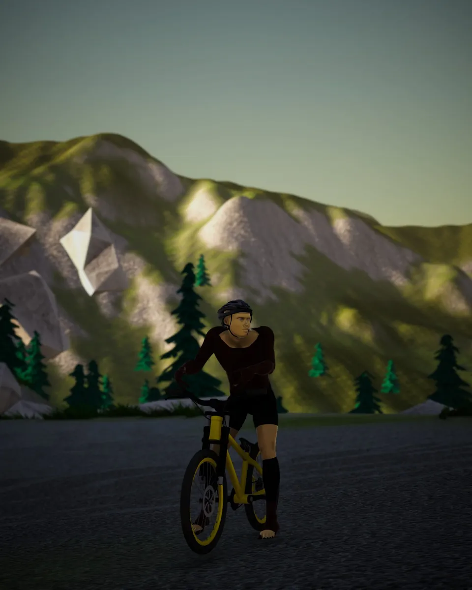 Mountain bike